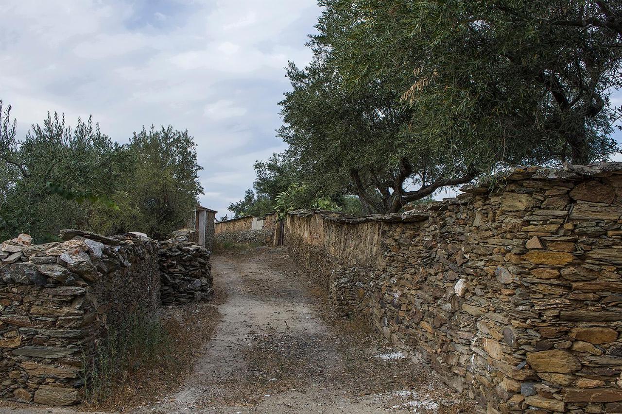 Casa Rural Julio Vegas Santiago Del Campo ภายนอก รูปภาพ